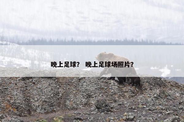 晚上足球？ 晚上足球场照片？