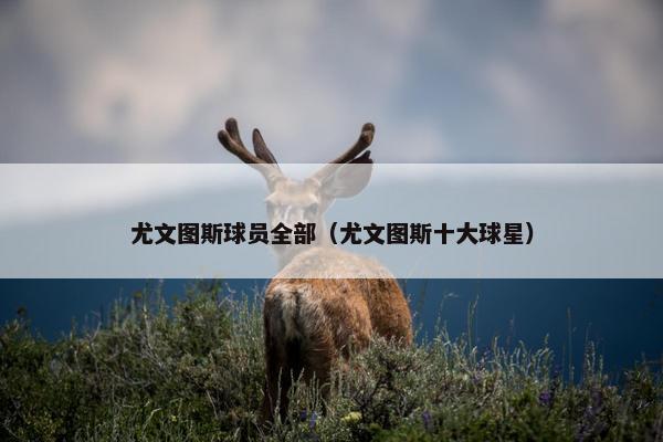 尤文图斯球员全部（尤文图斯十大球星）