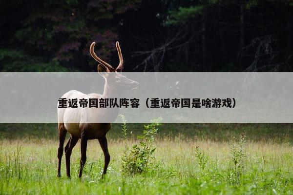 重返帝国部队阵容（重返帝国是啥游戏）