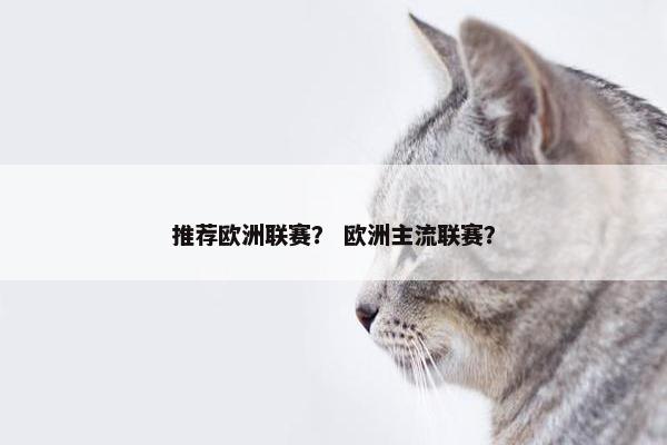 推荐欧洲联赛？ 欧洲主流联赛？