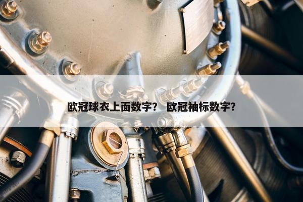 欧冠球衣上面数字? 欧冠袖标数字? 欧冠球衣上面数字? 欧冠袖标数字?