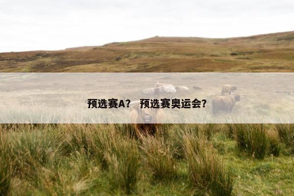 预选赛A？ 预选赛奥运会？