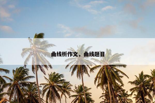 曲线析作文，曲线题目