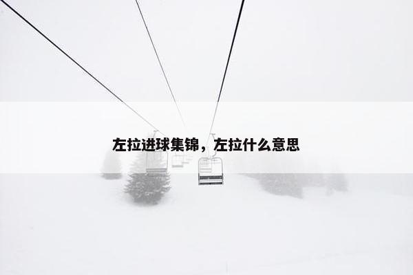 左拉进球集锦,左拉什么意思 左拉进球集锦,左拉什么意思
