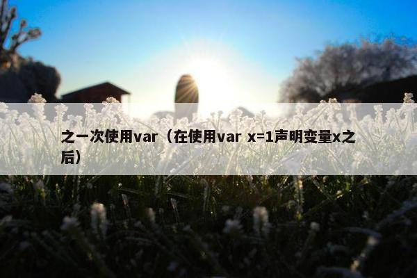 之一次使用var（在使用var x=1声明变量x之后）