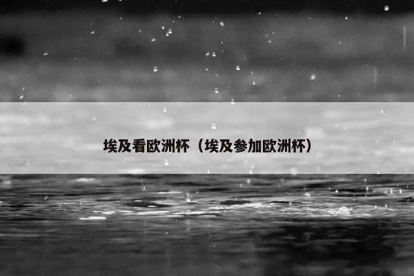 埃及看欧洲杯(埃及参加欧洲杯) 埃及看欧洲杯(埃及参加欧洲杯)