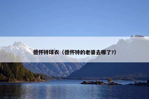 德怀特球衣（德怀特的老婆去哪了?）