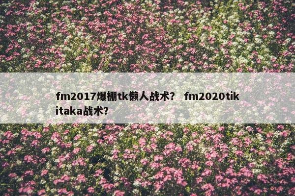 fm2017爆棚tk懒人战术？ fm2020tikitaka战术？