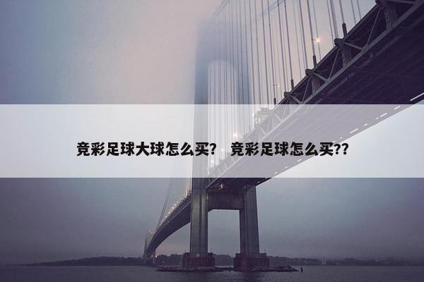 竞彩足球大球怎么买？ 竞彩足球怎么买?？