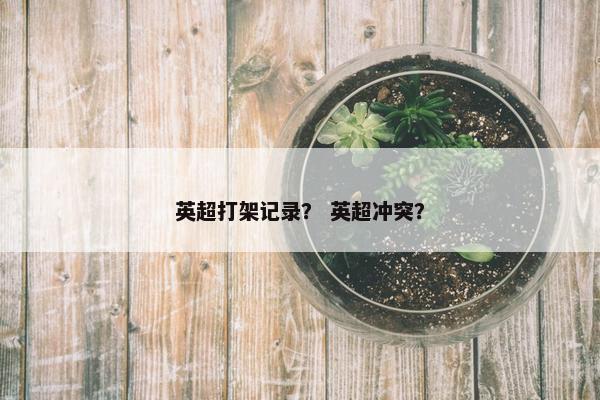 英超打架记录？ 英超冲突？