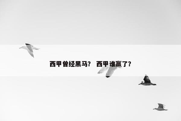 西甲曾经黑马？ 西甲谁赢了？