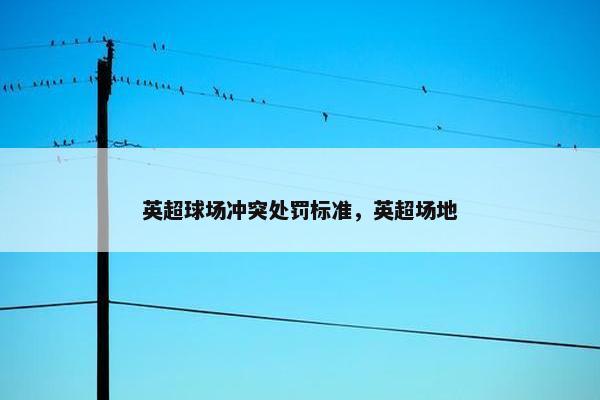 英超球场冲突处罚标准，英超场地