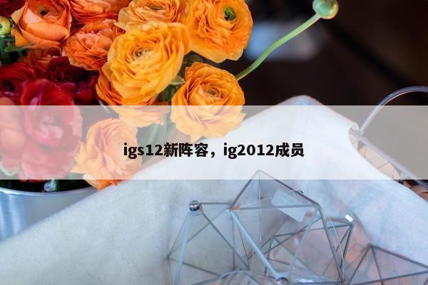 igs12新阵容，ig2012成员