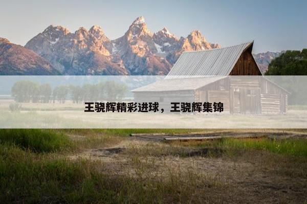 王骁辉精彩进球，王骁辉集锦