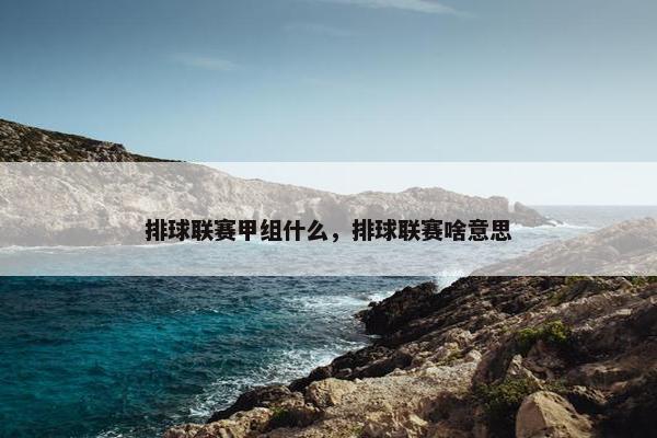 排球联赛甲组什么，排球联赛啥意思