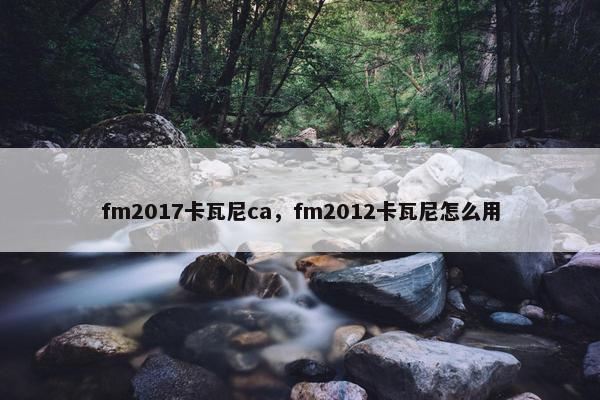 fm2017卡瓦尼ca，fm2012卡瓦尼怎么用
