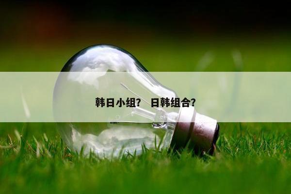韩日小组？ 日韩组合？