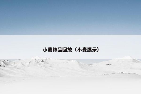 小麦饰品回放（小麦展示）