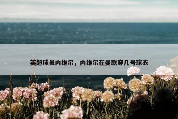 英超球员内维尔，内维尔在曼联穿几号球衣