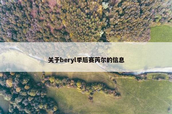 关于beryl季后赛芮尔的信息
