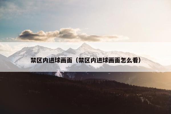禁区内进球画面（禁区内进球画面怎么看）