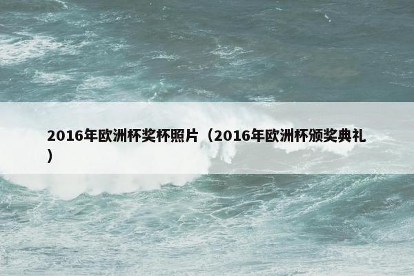 2016年欧洲杯奖杯照片（2016年欧洲杯颁奖典礼）