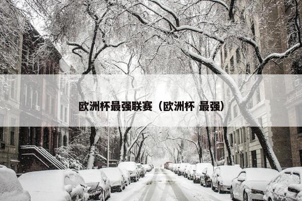 欧洲杯最强联赛(欧洲杯 最强) 欧洲杯最强联赛(欧洲杯 最强)