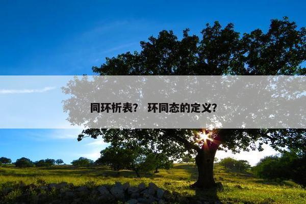 同环析表？ 环同态的定义？