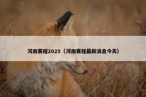 河南赛程2025（河南赛程最新消息今天）