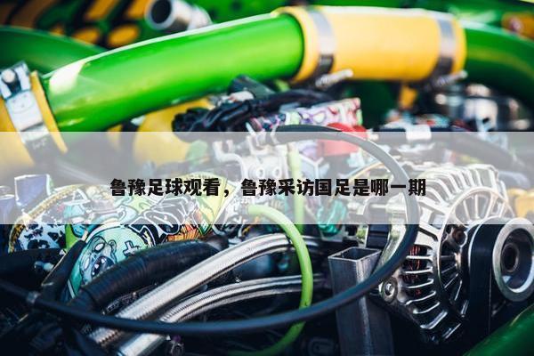 鲁豫足球观看，鲁豫采访国足是哪一期