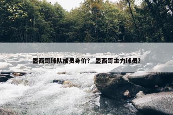 墨西哥球队成员身价？ 墨西哥主力球员？