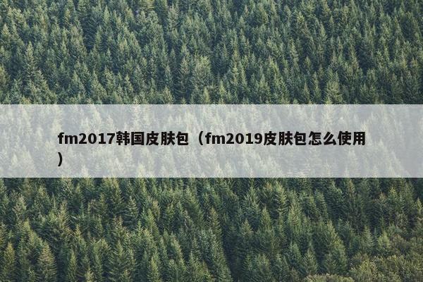 fm2017韩国皮肤包（fm2019皮肤包怎么使用）