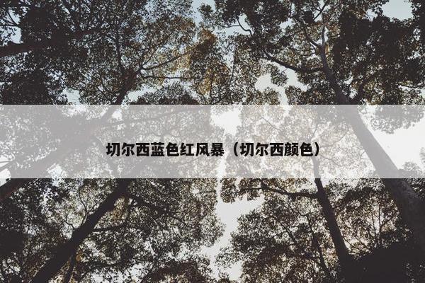 切尔西蓝色红风暴（切尔西颜色）