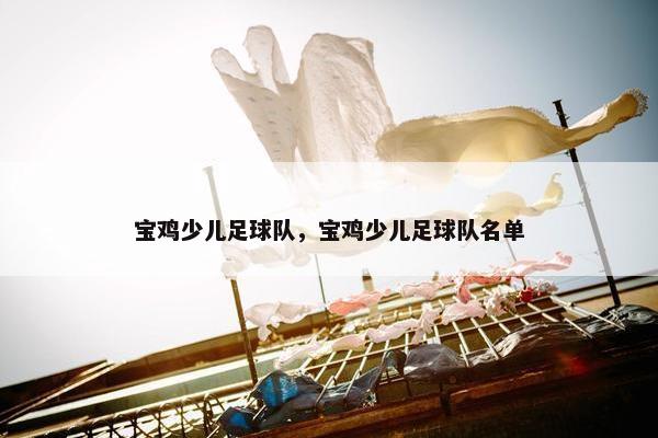 宝鸡少儿足球队，宝鸡少儿足球队名单