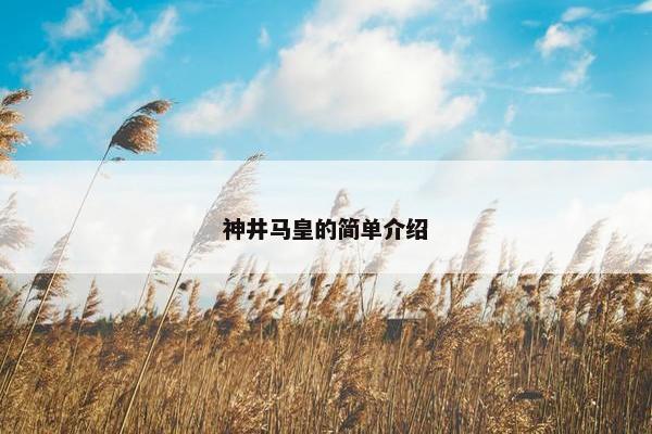 神井马皇的简单介绍