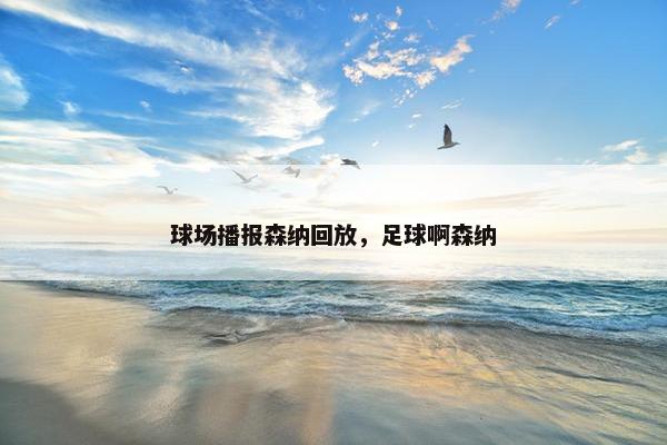 球场播报森纳回放，足球啊森纳