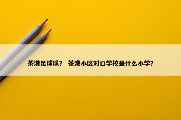 茶港足球队？ 茶港小区对口学校是什么小学？
