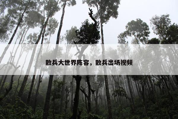散兵大世界阵容，散兵出场视频