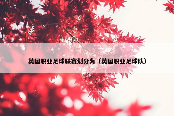 英国职业足球联赛划分为（英国职业足球队）