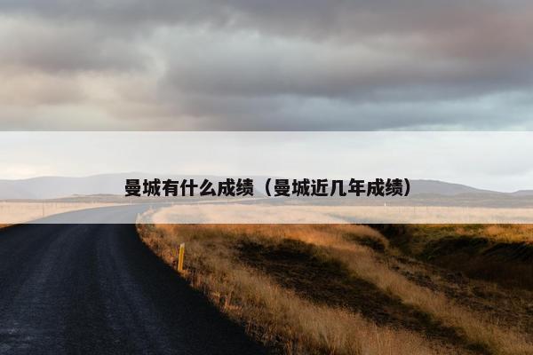 曼城有什么成绩（曼城近几年成绩）