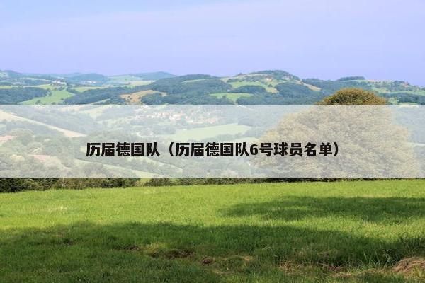 历届德国队（历届德国队6号球员名单）