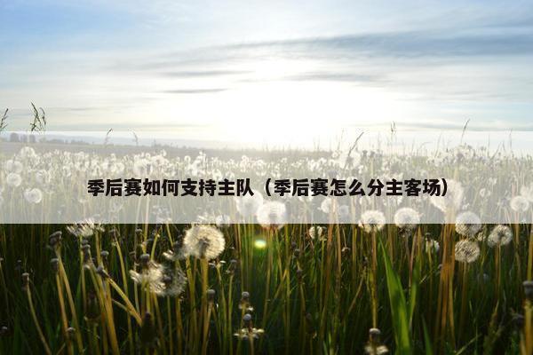 季后赛如何支持主队（季后赛怎么分主客场）