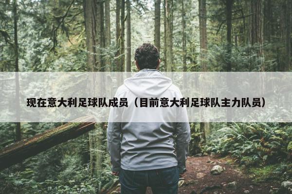现在意大利足球队成员（目前意大利足球队主力队员）