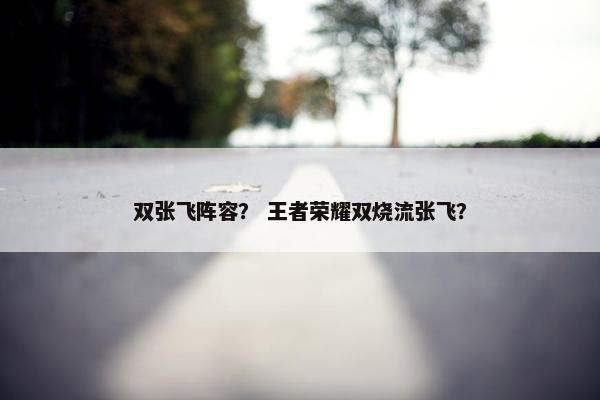 双张飞阵容？ 王者荣耀双烧流张飞？