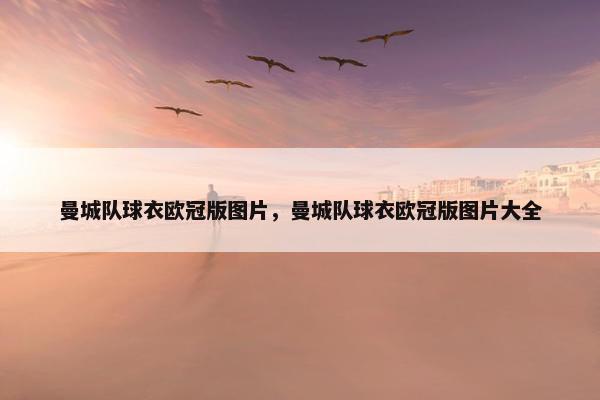 曼城队球衣欧冠版图片，曼城队球衣欧冠版图片大全
