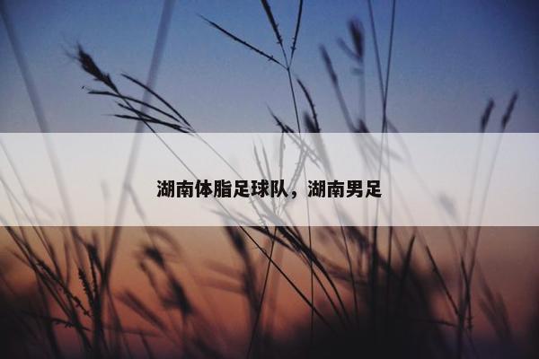 湖南体脂足球队，湖南男足
