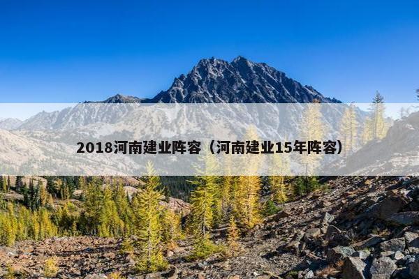 2018河南建业阵容（河南建业15年阵容）