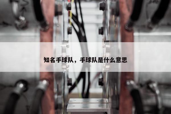 知名手球队，手球队是什么意思