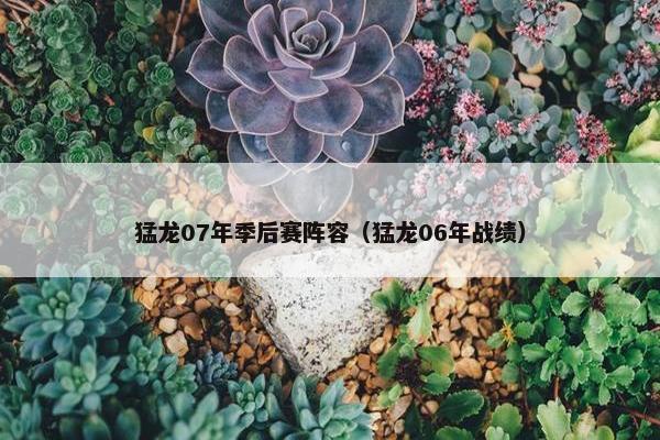 猛龙07年季后赛阵容（猛龙06年战绩）