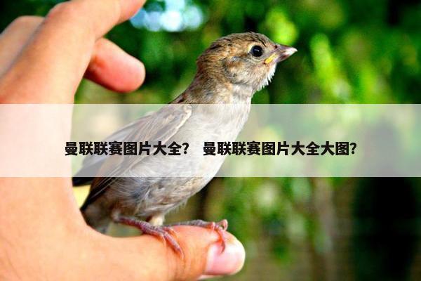 曼联联赛图片大全？ 曼联联赛图片大全大图？